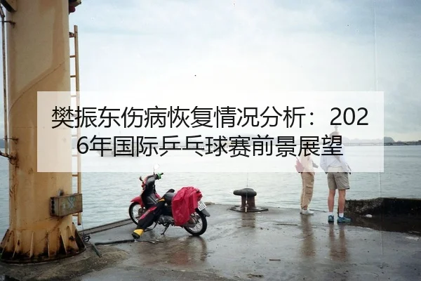 樊振东伤病恢复情况分析：2026年国际乒乓球赛前景展望