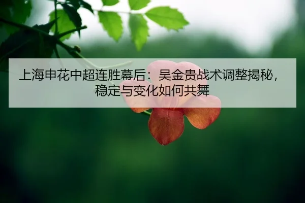 shang-hai-shen-hua-zhong-chao-lian-sheng-mu-hou-wu-jin-gui-zhan-shu-tiao-zheng-jie-mi-wen-ding-yu-bian-hua-ru-he-gong-wu-2-466.jpg
