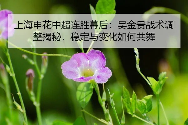shang-hai-shen-hua-zhong-chao-lian-sheng-mu-hou-wu-jin-gui-zhan-shu-tiao-zheng-jie-mi-wen-ding-yu-bian-hua-ru-he-gong-wu-3-890.jpg