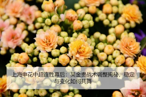 上海申花中超连胜幕后：吴金贵战术调整揭秘，稳定与变化如何共舞