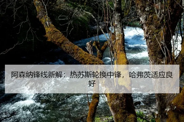 阿森纳锋线新解：热苏斯轮换中锋，哈弗茨适应良好