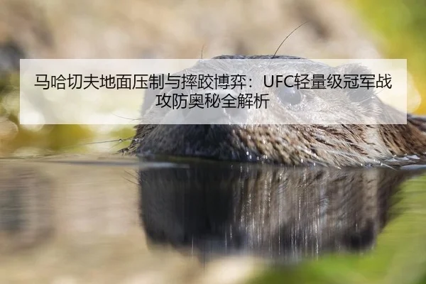 马哈切夫地面压制与摔跤博弈：UFC轻量级冠军战攻防奥秘全解析